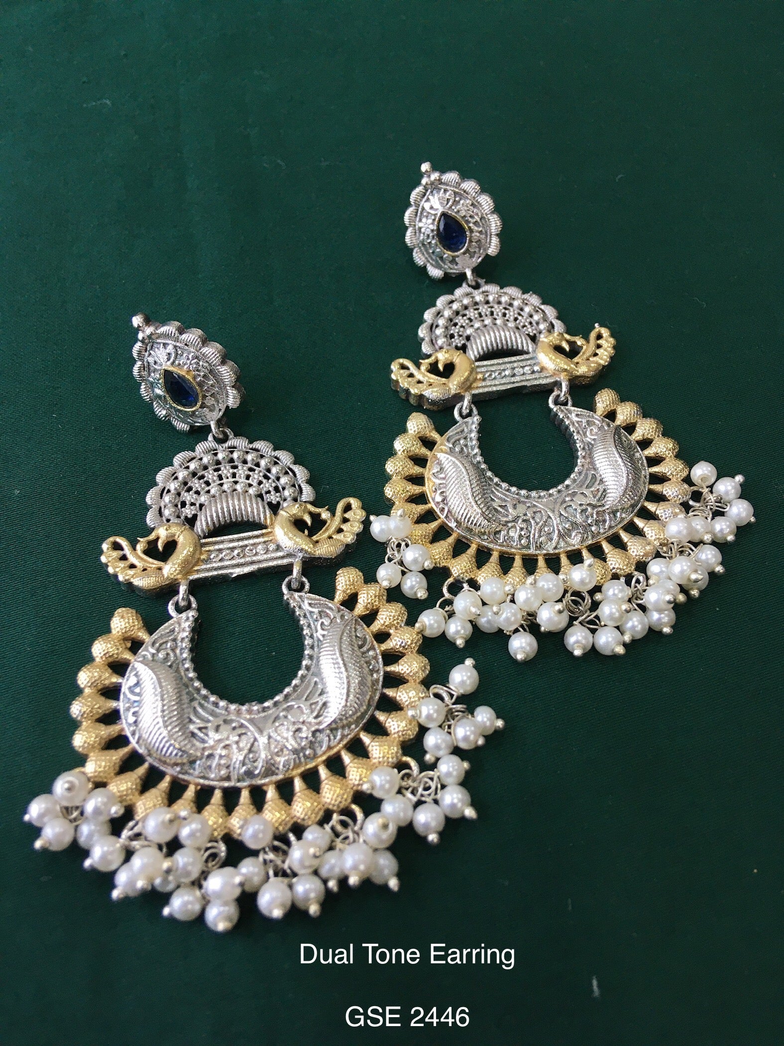 Dual Tone Earring